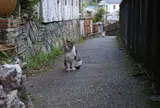 窯垣の小径
