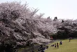 本牧山頂公園