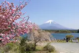 精進湖　山田屋ホテル前