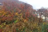 八海山ロープウェー