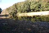 嵐山渓谷