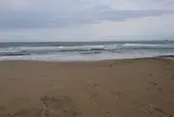 琴ケ浜