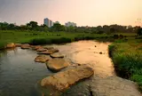Bishan-Ang Mo Kio Park