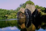 Bukit Timah Nature Reserve