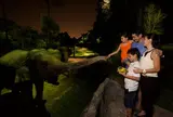 ナイトサファリ