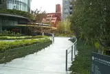 桑田記念児童遊園