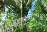 函館市熱帯植物園