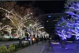 さくら通り