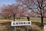 北浅羽桜堤公園