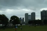 豊洲公園