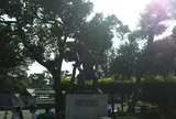 本多平八郎忠勝公像