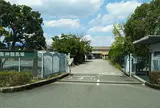 阪神競馬場