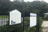 旗山崎公園