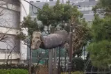 南開橋