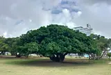 新都心公園