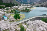大野ダム公園