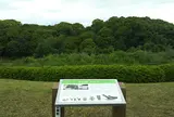 巣山古墳