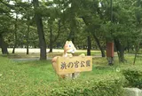 浜の宮公園