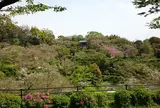 菊池公園