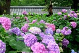 藤森神社