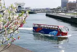 水陸両用バス スカイダック