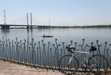 彩湖・道満グリーンパーク