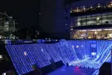 ドックヤードガーデン