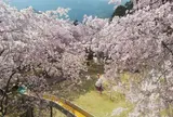 智者の丘公園