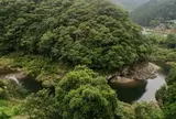 鳥の巣カフェ