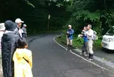 船上山　東坂登山道
