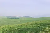 ビーナスライン
