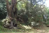 武雄神社（武雄五社大明神）