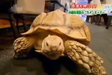 沖縄美味料理 くわっち