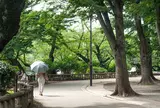 井の頭公園
