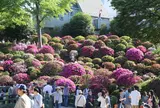 根津神社