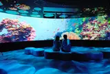 オービィ横浜