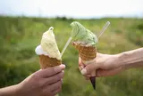 瀬波南国フルーツ園