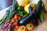 VEGETABLE HOUSE WANOBA