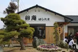 卵庵はしたま