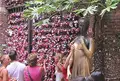Casa Di Giulietta （ジュリエッタの家）の写真_492656