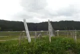 松尾芭蕉の句碑！！