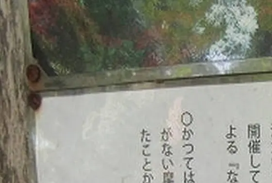 スポット内のおすすめ