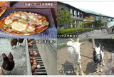 農業公園「信貴山のどか村」