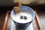 素人珈琲と雑貨 よつばカフェ