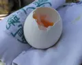 和倉温泉総湯の写真_216311