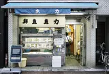 魚力