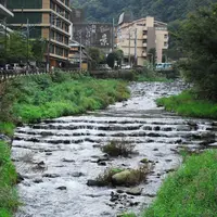 滝通り周辺の写真・動画_image_100005