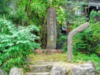養生館はるのひかりの写真・動画_image_100008