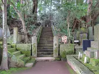 早雲寺の写真・動画_image_100013