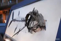 神奈川県立生命の星・地球博物館の写真・動画_image_100015